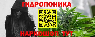 гидропоника Берёзовский
