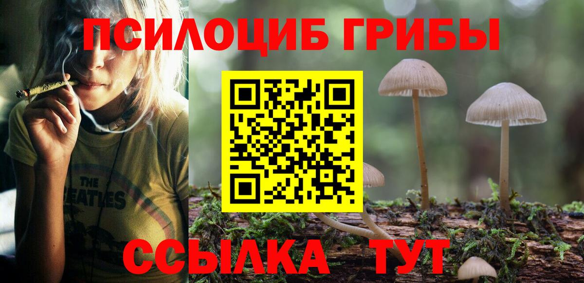 Галлюциногенные грибы мухоморы  Вход с VPN  Кизляр  Галлюциногенные грибы Magic Shrooms 